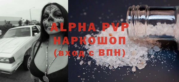 молекула духа Арсеньев