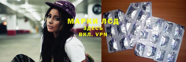молекула духа Арсеньев