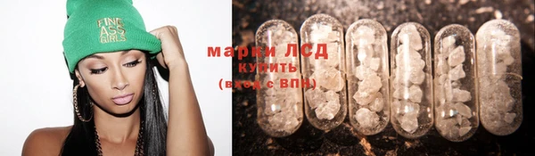 молекула духа Арсеньев