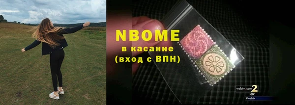 молекула духа Арсеньев