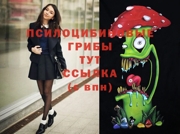молекула духа Арсеньев