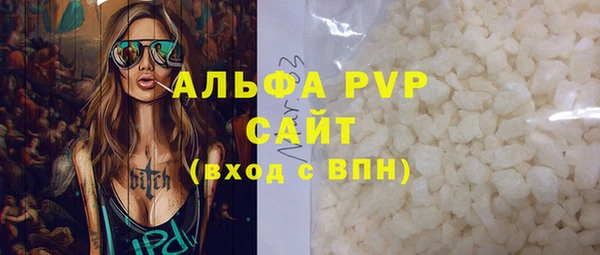 молекула духа Арсеньев